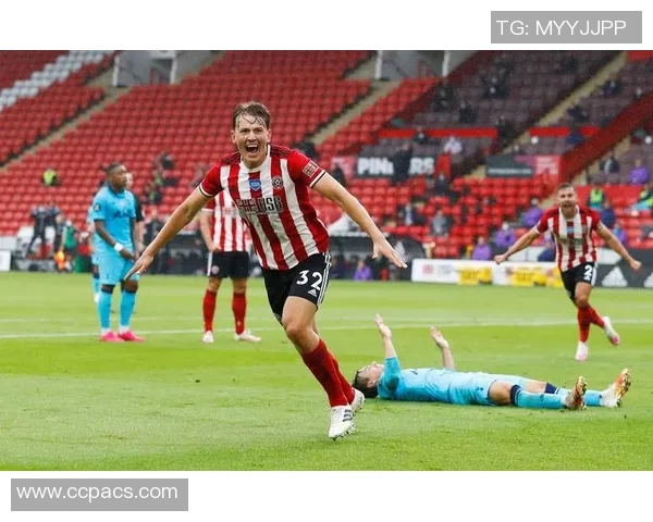 南安普顿与谢菲联的精彩对决结果揭晓谁是胜者