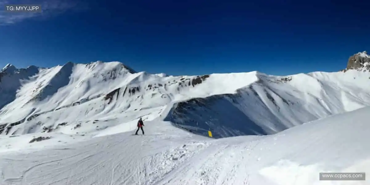 全球直播,与你同步心跳!📺👀